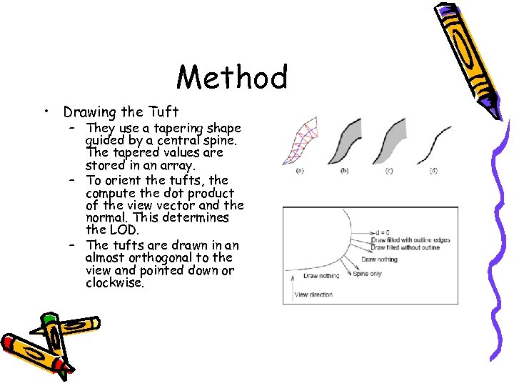 Method • Drawing the Tuft – They use a tapering shape guided by a