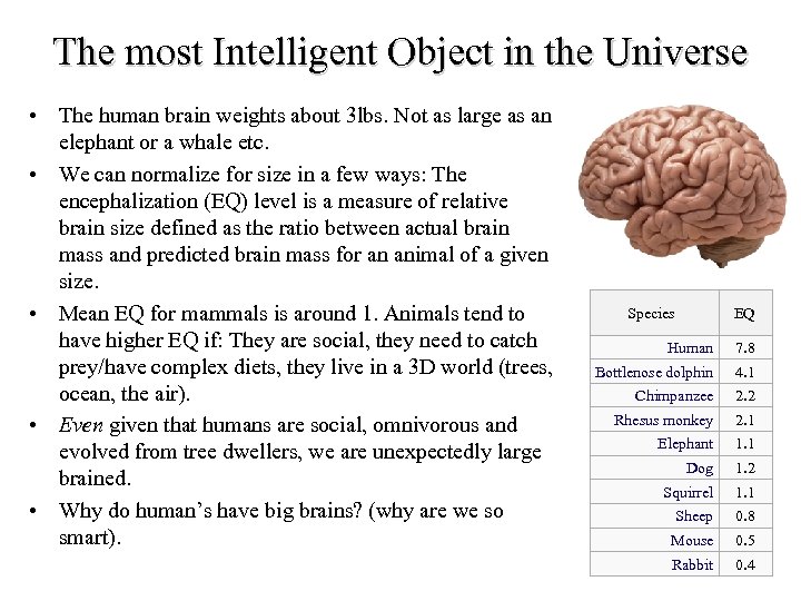 The most Intelligent Object in the Universe • The human brain weights about 3
