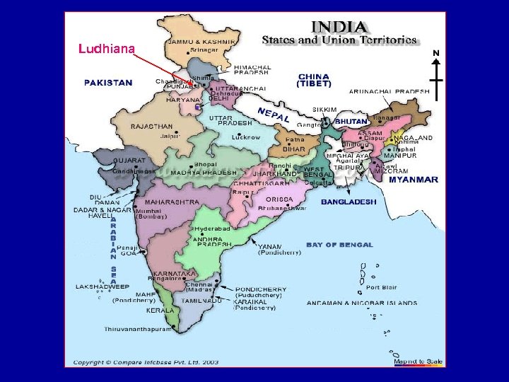 Ludhiana 