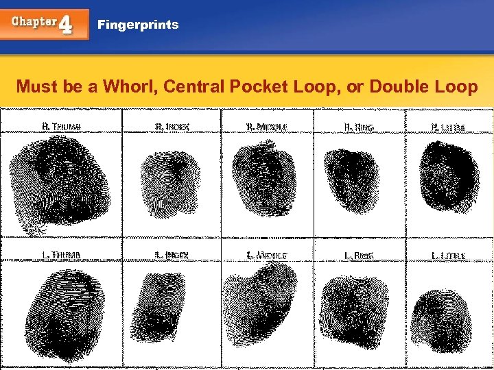 Fingerprints Must be a Whorl, Central Pocket Loop, or Double Loop Chapter 4 Kendall/Hunt