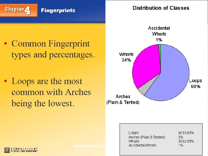 Fingerprints • Common Fingerprint types and percentages. • Loops are the most common with