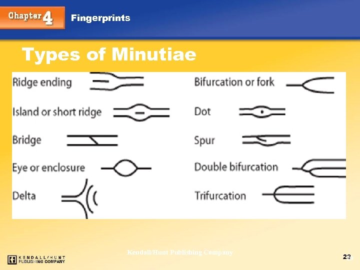 Fingerprints Types of Minutiae Chapter 4 Kendall/Hunt Publishing Company 29 29 