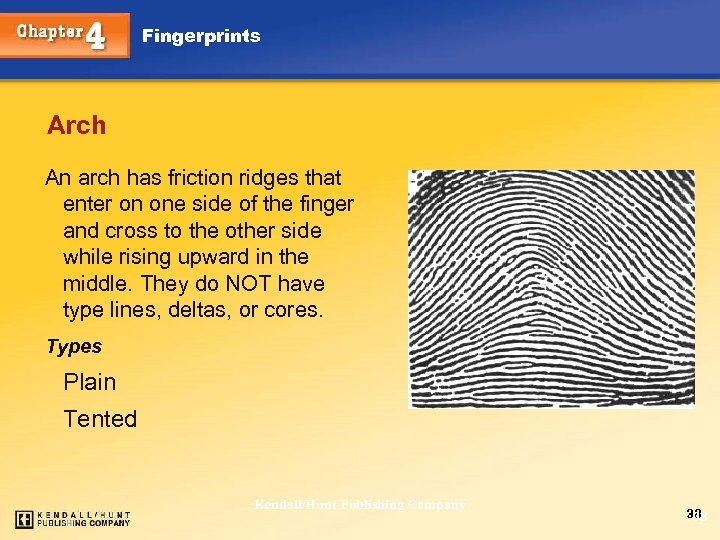 Fingerprints Arch An arch has friction ridges that enter on one side of the