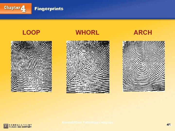 Fingerprints LOOP Chapter 4 WHORL Kendall/Hunt Publishing Company ARCH 41 41 