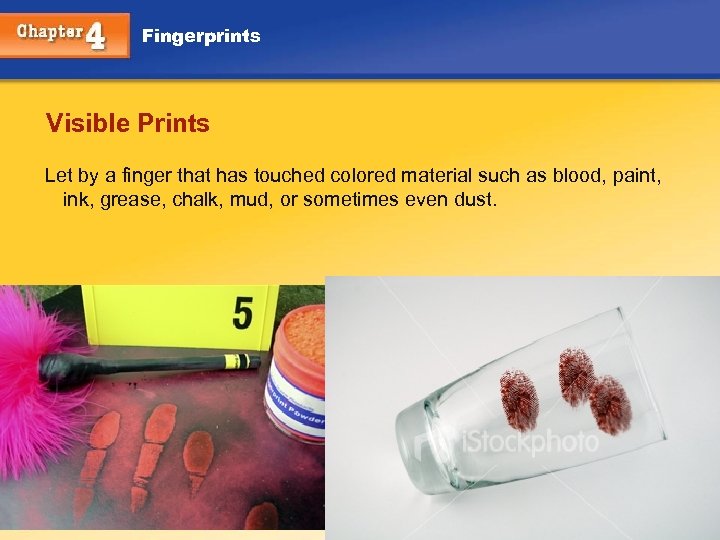 Fingerprints Visible Prints Let by a finger that has touched colored material such as