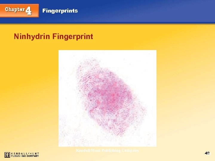 Fingerprints Ninhydrin Fingerprint Chapter 4 Kendall/Hunt Publishing Company 49 49 