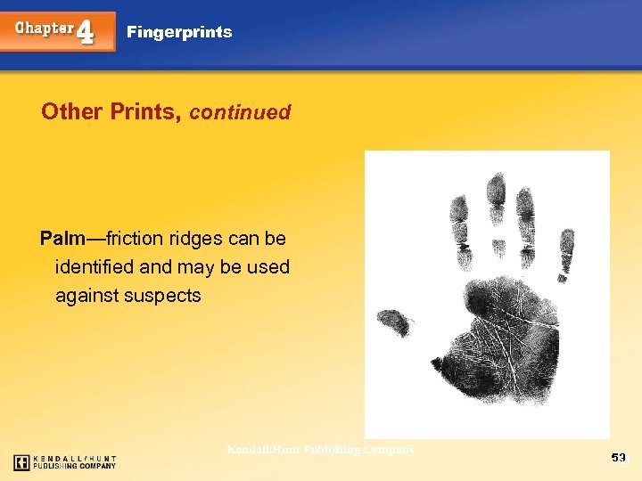 Fingerprints Other Prints, continued Palm—friction ridges can be identified and may be used against