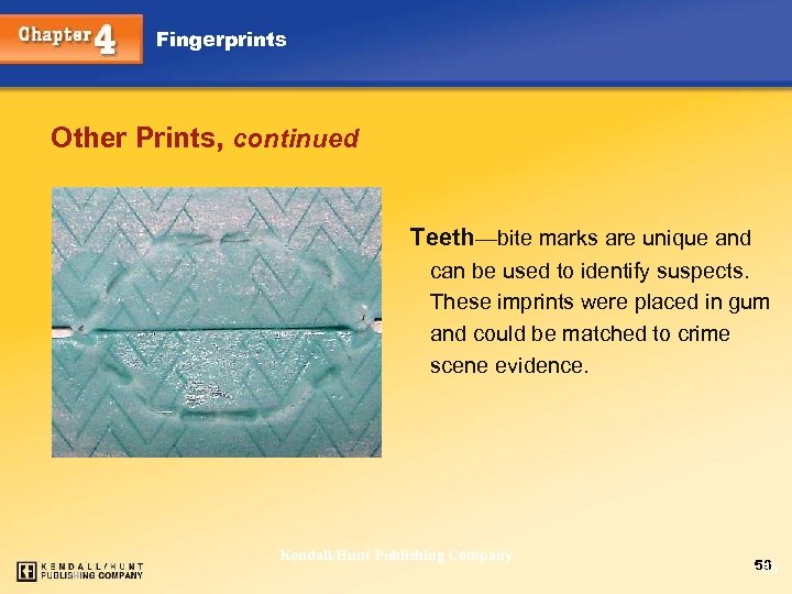 Fingerprints Other Prints, continued Teeth—bite marks are unique and can be used to identify