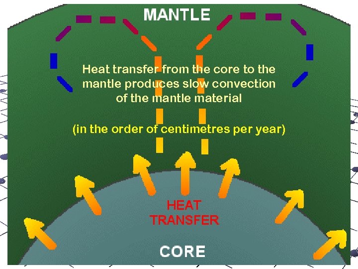 mantle convection Heat transfer from the core to the mantle produces slow convection of