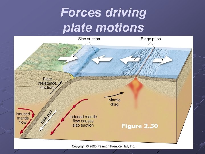 Forces driving plate motions Figure 2. 30 