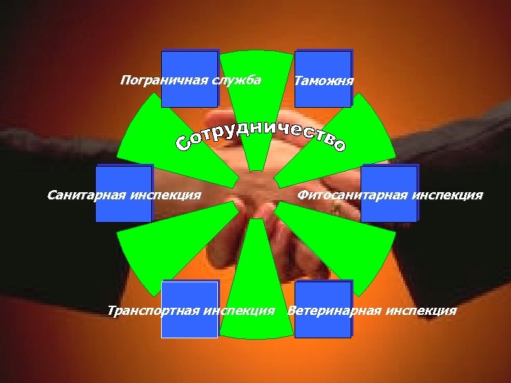 Пограничная служба Санитарная инспекция Таможня Фитосанитарная инспекция Транспортная инспекция Ветеринарная инспекция 