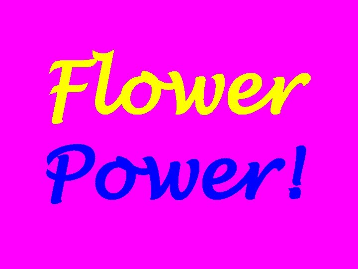 Flower Power! 