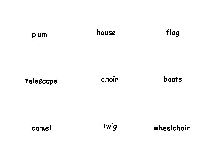 plum house flag telescope choir boots camel twig wheelchair 