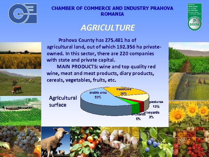 CHAMBER OF COMMERCE AND INDUSTRY PRAHOVA ROMANIA AGRICULTURE Prahova County has 275. 481 ha