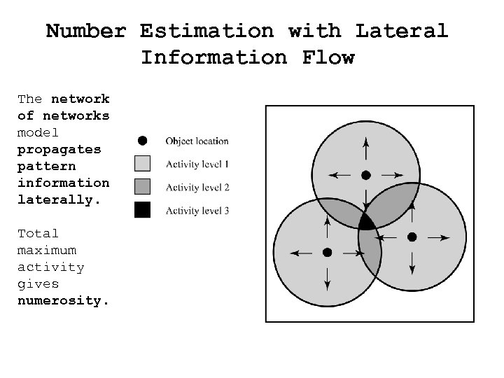 Number Estimation with Lateral Information Flow The network of networks model propagates pattern information