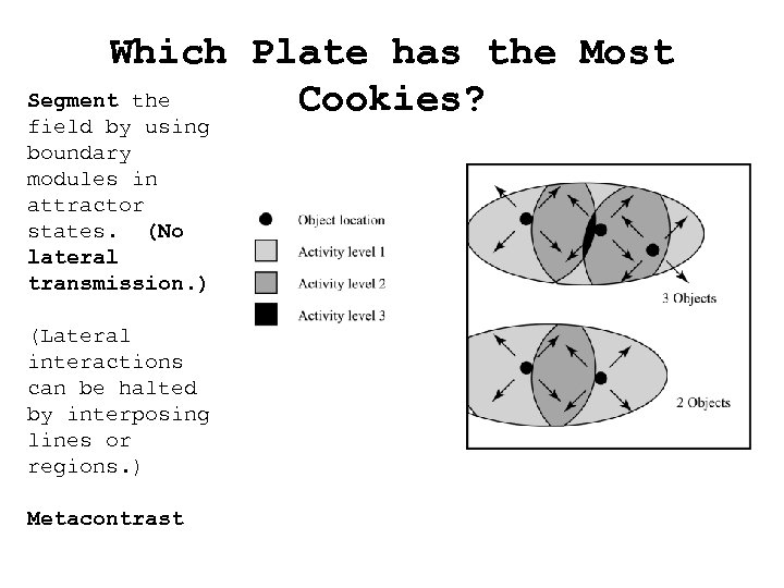 Which Plate has the Most Segment the Cookies? field by using boundary modules in