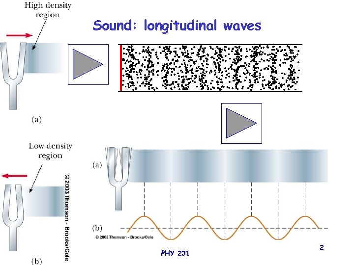 Sound: longitudinal waves PHY 231 2 