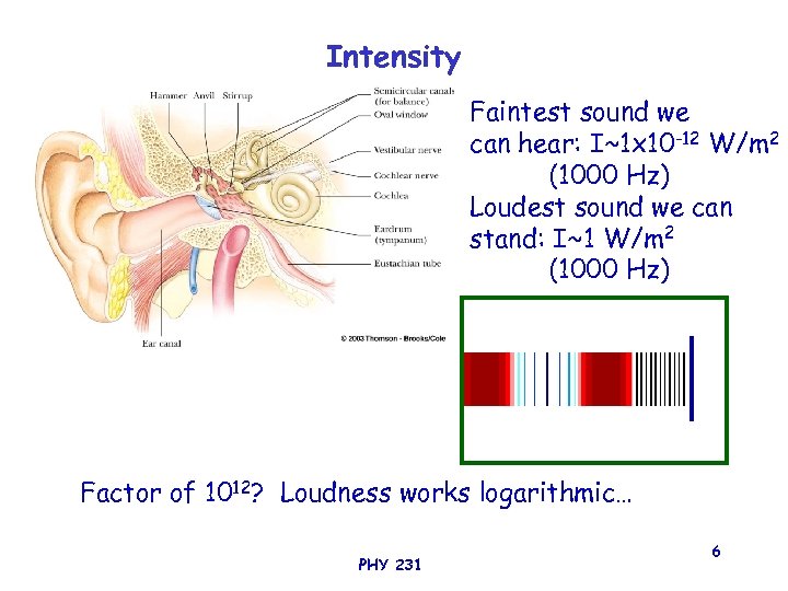 Intensity Faintest sound we can hear: I~1 x 10 -12 W/m 2 (1000 Hz)