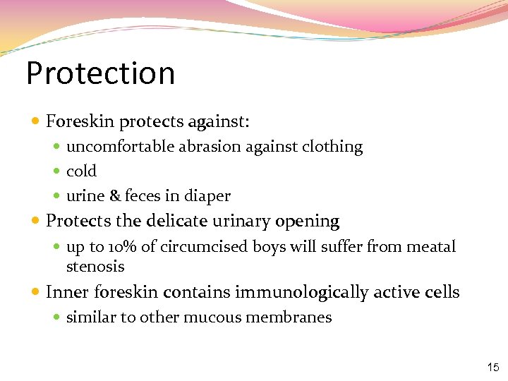 Protection Foreskin protects against: uncomfortable abrasion against clothing cold urine & feces in diaper