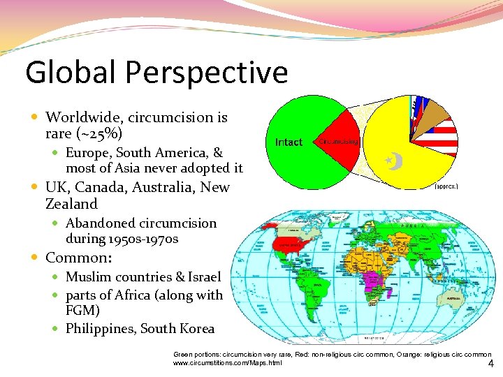 Global Perspective Worldwide, circumcision is rare (~25%) Europe, South America, & most of Asia