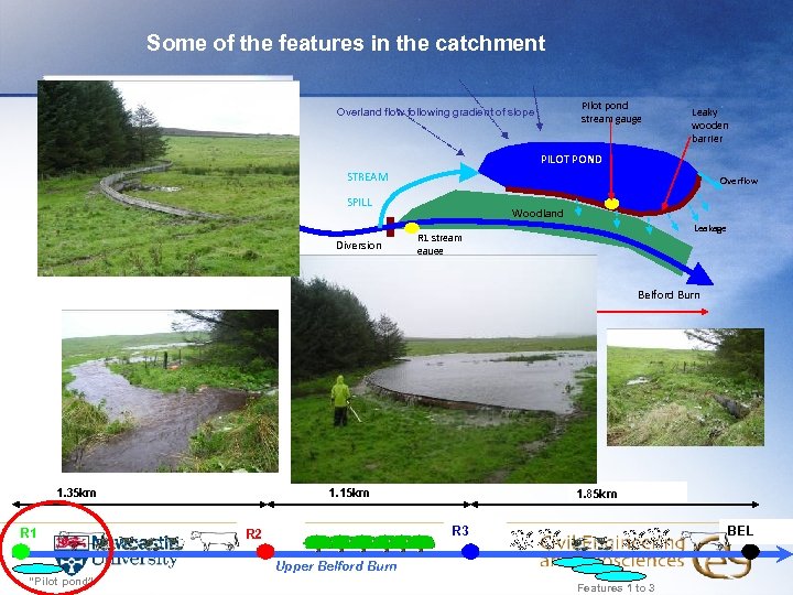 Some of the features in the catchment Pilot pond stream gauge Overland flow following