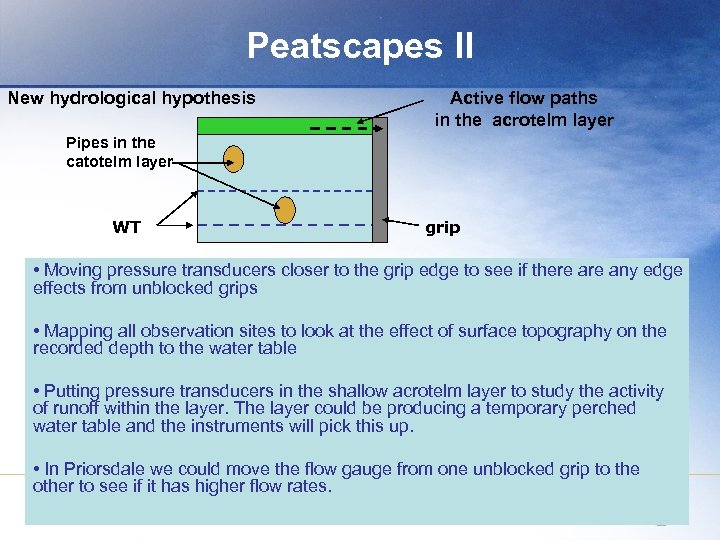 Peatscapes II New hydrological hypothesis Active flow paths in the acrotelm layer Pipes in
