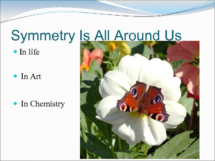 Symmetry Is All Around Us In life In Art In Chemistry 