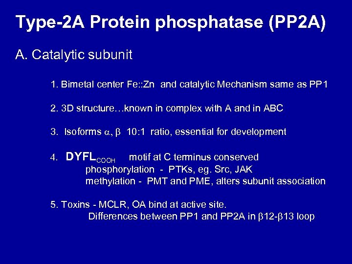 Type-2 A Protein phosphatase (PP 2 A) A. Catalytic subunit 1. Bimetal center Fe: