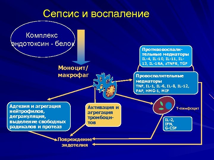 Сепсис и воспаление Комплекс эндотоксин - белок Противовоспалительные медиаторы Моноцит/ макрофаг IL-4, IL-10, IL-11,