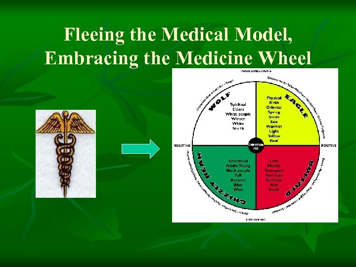 Fleeing the Medical Model, Embracing the Medicine Wheel 