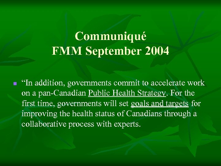 Communiqué FMM September 2004 n “In addition, governments commit to accelerate work on a