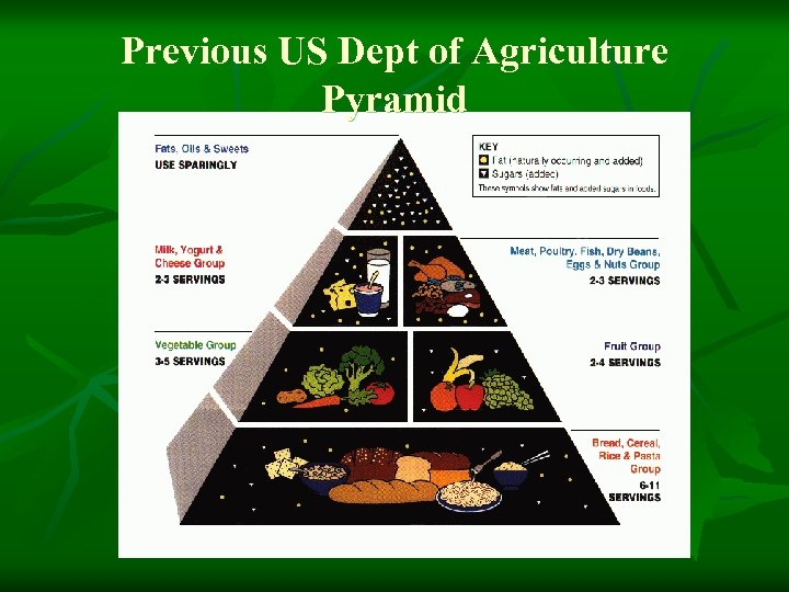 Previous US Dept of Agriculture Pyramid 