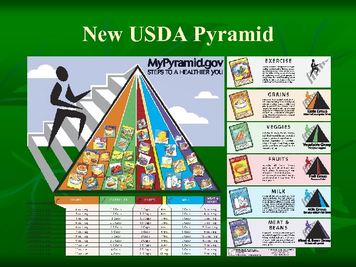 New USDA Pyramid 