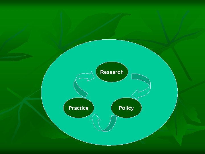 Research Practice Policy 