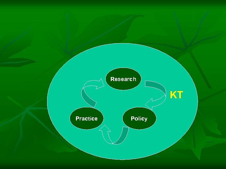 Research KT Practice Policy 