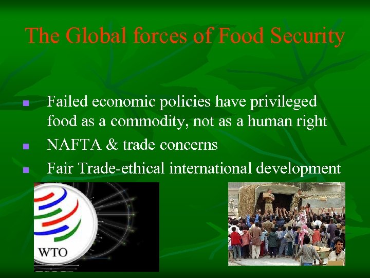 The Global forces of Food Security n n n Failed economic policies have privileged