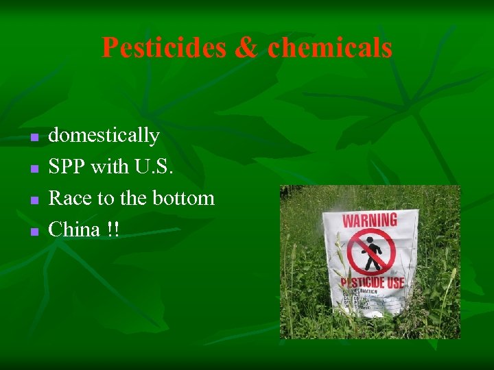 Pesticides & chemicals n n domestically SPP with U. S. Race to the bottom