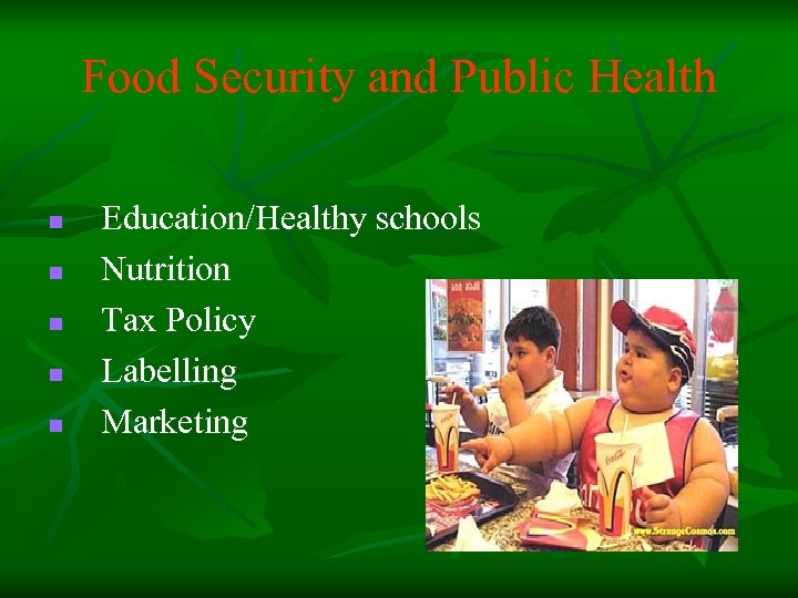 Food Security and Public Health n n n Education/Healthy schools Nutrition Tax Policy Labelling