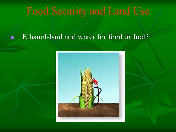 Food Security and Land Use n Ethanol-land water food or fuel? 