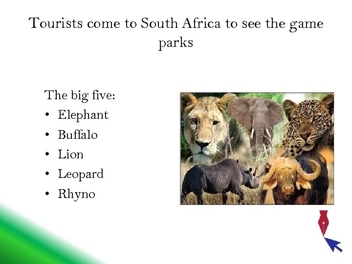 Tourists come to South Africa to see the game parks The big five: •