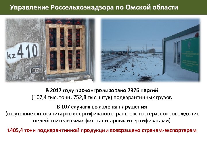Управление Россельхознадзора по Омской области В 2017 году проконтролировано 7376 партий (107, 4 тыс.