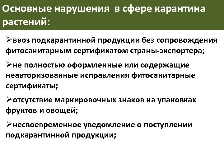 Основные нарушения в сфере карантина растений: Øввоз подкарантинной продукции без сопровождения фитосанитарным сертификатом страны-экспортера;