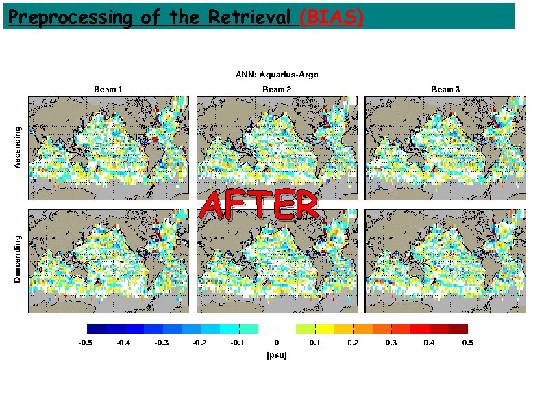 Preprocessing of the Retrieval (BIAS) AFTER 