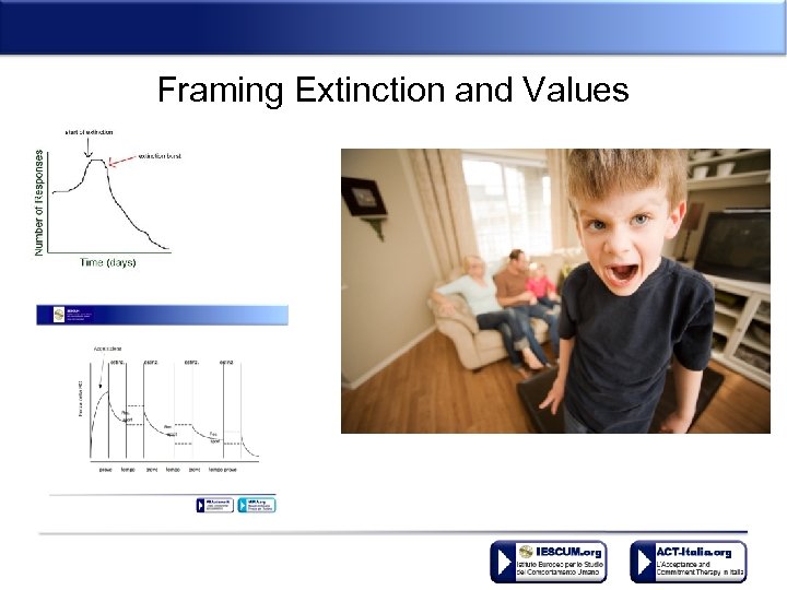 Framing Extinction and Values 
