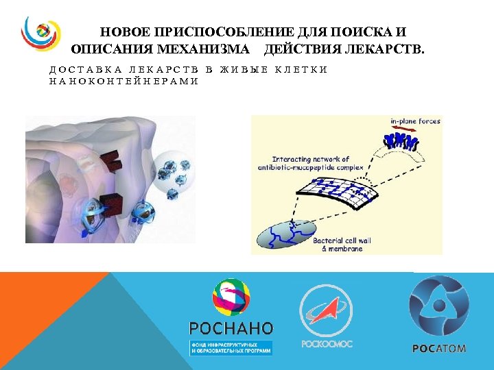 НОВОЕ ПРИСПОСОБЛЕНИЕ ДЛЯ ПОИСКА И ОПИСАНИЯ МЕХАНИЗМА ДЕЙСТВИЯ ЛЕКАРСТВ. ДОСТАВКА ЛЕКАРСТВ В ЖИВЫЕ КЛЕТКИ