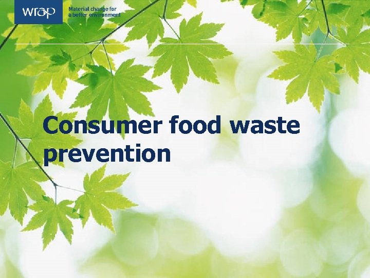 Consumer food waste prevention 
