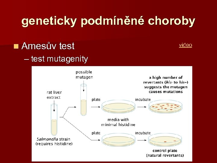 geneticky podmíněné choroby n Amesův test – test mutagenity video 
