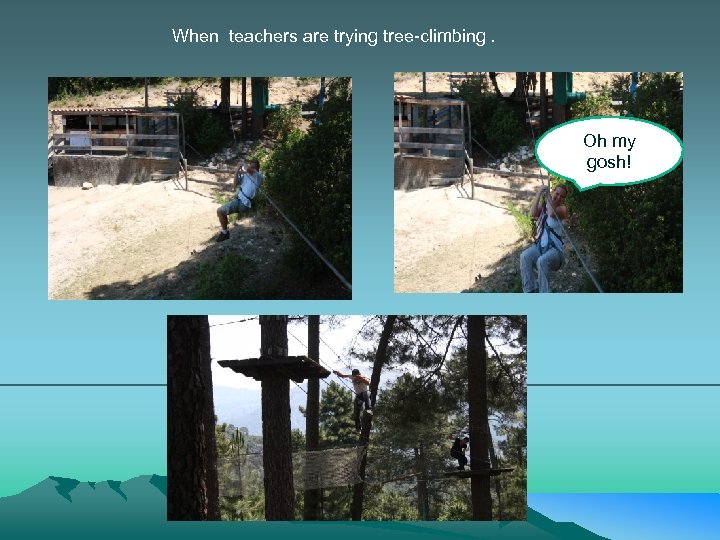 When teachers are trying tree-climbing. Oh my gosh! 