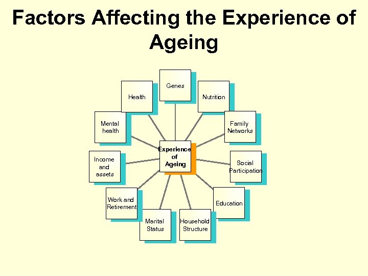 Factors Affecting the Experience of Ageing Genes Health Nutrition Family Networks Mental health Income