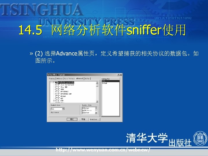 14. 5 网络分析软件sniffer使用 » (2) 选择Advance属性页，定义希望捕获的相关协议的数据包。如 图所示。 http: //www. wenyuan. com. cn/webnew/ 